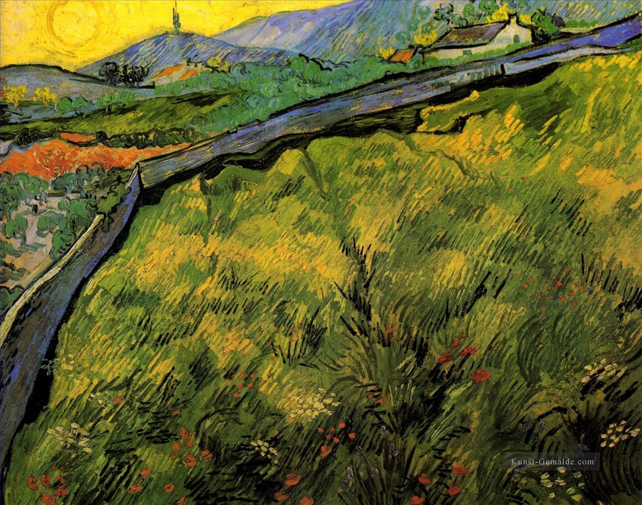 Feld des Frühjahrsweizens am Sonnenaufgang Vincent van Gogh Ölgemälde